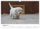 Thumbnail-14