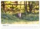 Thumbnail-14