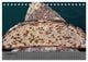 Thumbnail-12