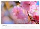 Thumbnail-10