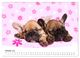 Thumbnail-11