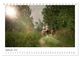Thumbnail-11