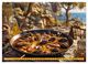 Thumbnail-10
