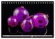 Thumbnail-10