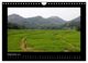 Thumbnail-14