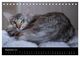 Thumbnail-11
