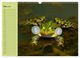 Thumbnail-8