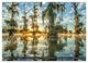 Thumbnail-11