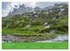 Thumbnail-14