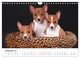 Thumbnail-13