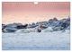 Thumbnail-8
