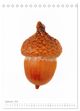 Thumbnail-11