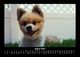 Thumbnail-12