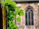 Thumbnail-2