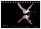 Thumbnail-12
