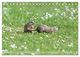 Thumbnail-10