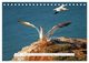 Thumbnail-11