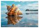 Thumbnail-9