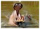 Thumbnail-11