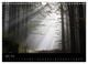 Thumbnail-10