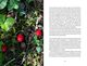 Thumbnail-8