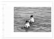 Thumbnail-11