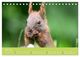 Thumbnail-12