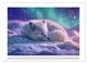 Thumbnail-13
