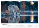 Thumbnail-10
