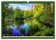 Thumbnail-8