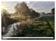 Thumbnail-8