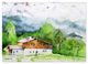 Thumbnail-11