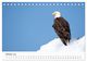 Thumbnail-12