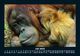 Thumbnail-11