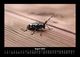 Thumbnail-12