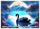 Thumbnail-8