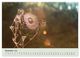 Thumbnail-14