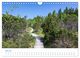 Thumbnail-8