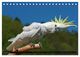 Thumbnail-10