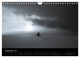 Thumbnail-14
