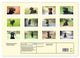 Thumbnail-4