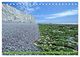 Thumbnail-10