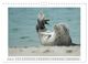 Thumbnail-12