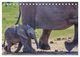 Thumbnail-11