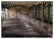 Thumbnail-8
