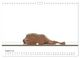 Thumbnail-13