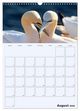 Thumbnail-14