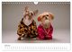 Thumbnail-12