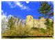 Thumbnail-8