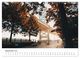 Thumbnail-14